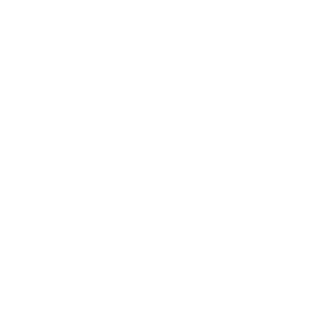 feature-item-1
